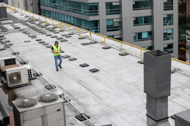 Best Roof Coating Services  in South Bloomfield, OH